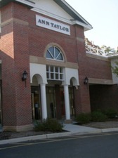 Ann Taylor